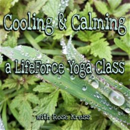 LifeForce Yoga Practice for Calming and Cooling