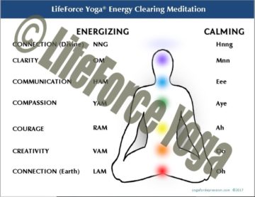 LifeForce Yoga Energy Clearing