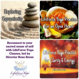 LifeForce Yoga Class Bundle
